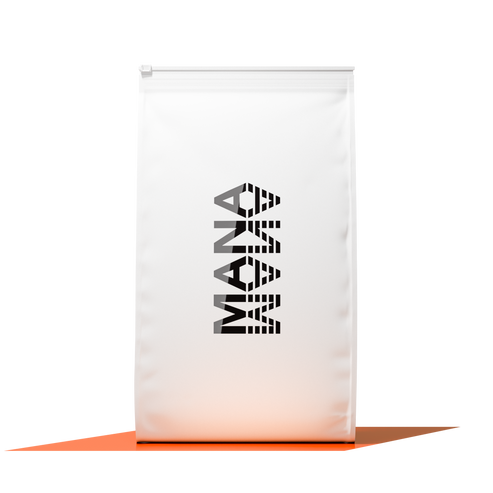 Family Pack XP | Orange
