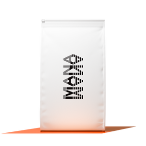 Family Pack XP | Orange