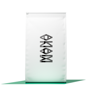 Family Pack HP | Pistachio