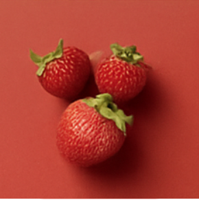 Family Pack | Strawberry