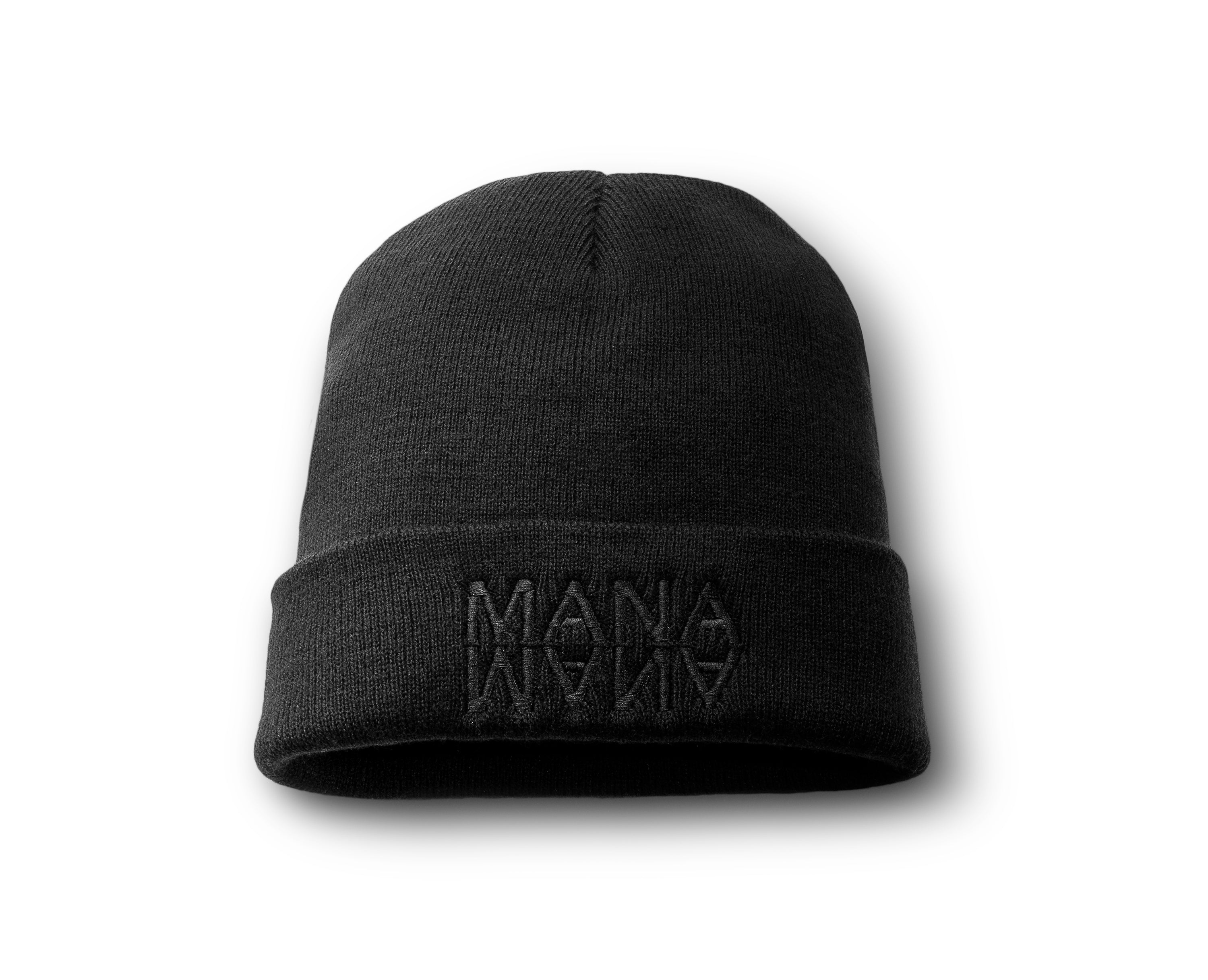 Icon Beanie